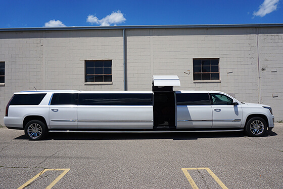white limo bus