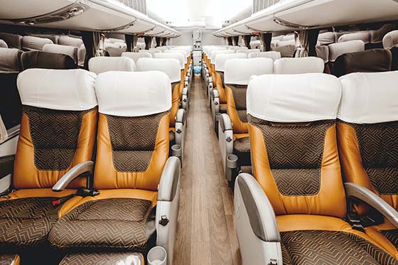 Charter bus rental in Charleston, South Carolina for large groups