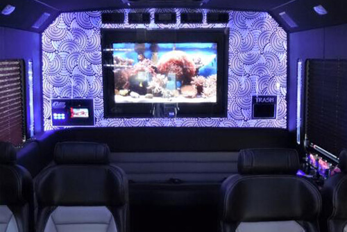 12-passenger limo bus rental with Wi-fi and great sound system